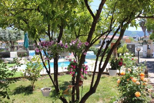 a garden with flowers and a swimming pool at Quinta de São Marcos in Fundão