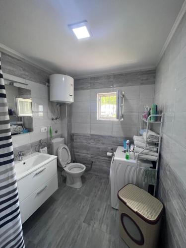 een badkamer met een toilet, een wastafel en een toilet bij Amani in Kovačevo Polje