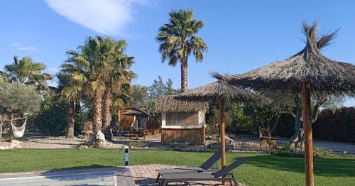 Maureilhan-et-Raméjan的住宿－Le Frauzil，棕榈树度假村和一个带椅子和遮阳伞的小屋