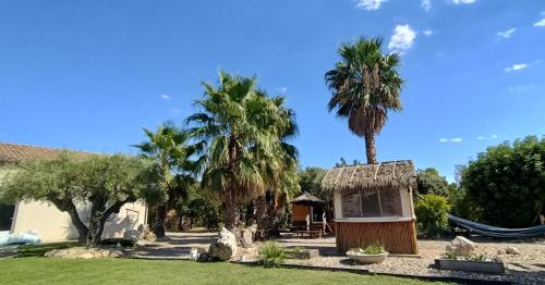 Maureilhan-et-Raméjan的住宿－Le Frauzil，棕榈树和吊床的房子