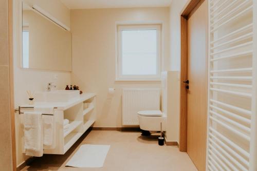 a bathroom with a sink and a toilet and a window at Luxe Vakantiewoning De Veldhoek in Wingene