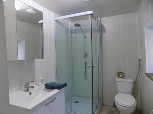 ein Bad mit einer Dusche, einem WC und einem Waschbecken in der Unterkunft La maisonnette in Les Adjots
