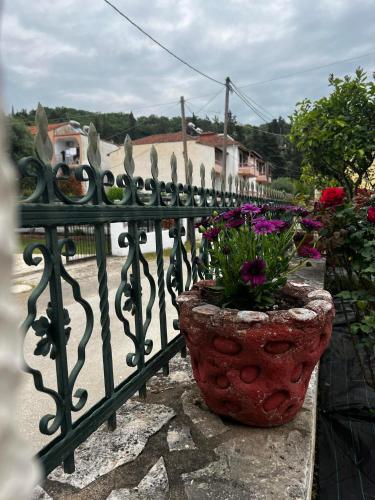 a wrought iron fence with flowers in a pot at Dionysus Apartments & Studios in Syvota