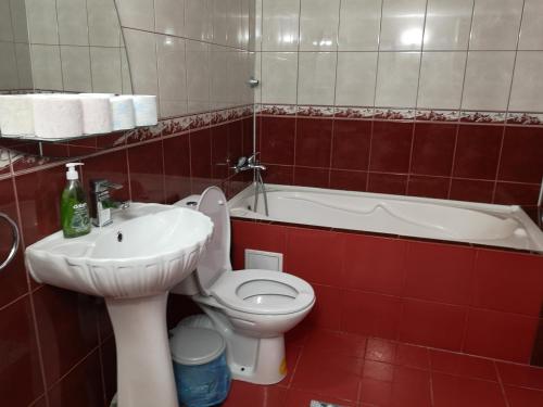 Billede fra billedgalleriet på Casa Delia i Sulina