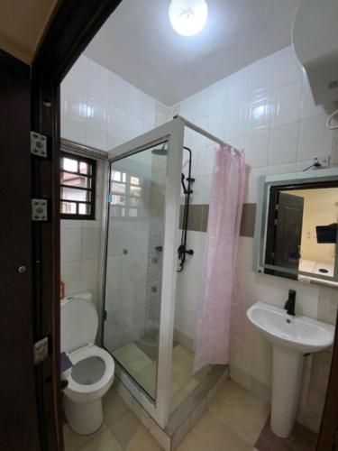 a bathroom with a shower and a toilet and a sink at Rehoboth Homes in Port Harcourt