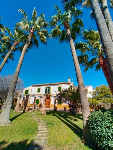 a group of palm trees in front of a building at Agroturismo Finca Son Amora in Palma de Mallorca