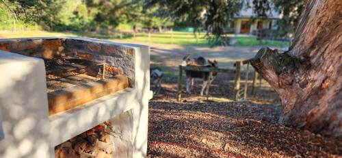 a grill with food inside of it next to a tree at Marilyn's Rooms in Swellendam
