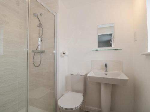 a bathroom with a toilet and a sink and a shower at Covert Cottage in Axminster