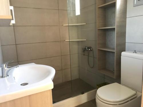 a bathroom with a shower with a sink and a toilet at Loy Loy House 2 in Koilás