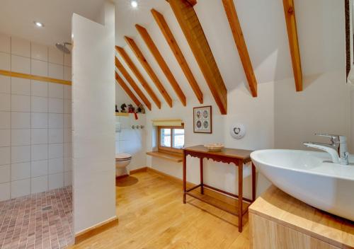 uma casa de banho com um lavatório, um chuveiro e um WC. em Bluddles Dairy em Somerton