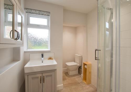 a bathroom with a sink and a toilet and a window at Brook Cottage in Dersingham