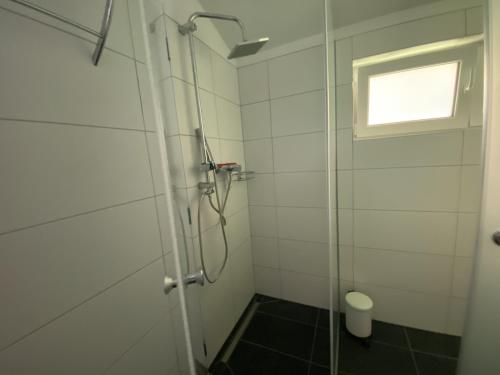 uma casa de banho com um chuveiro e uma porta de vidro em Zirbenblick Apartment Turrach em Brandstätter