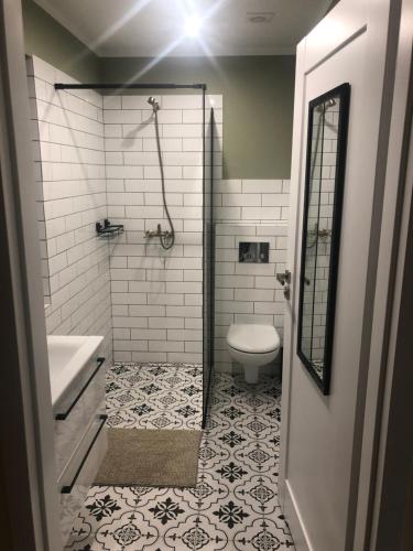 a bathroom with a shower and a toilet and a sink at Mazurski Domek Brożówka 50 m od plaży in Brożówka