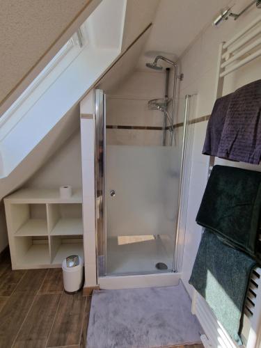 een badkamer met een douche op de zolder bij Tinyroom mit Ausblick in Königstein an der Elbe