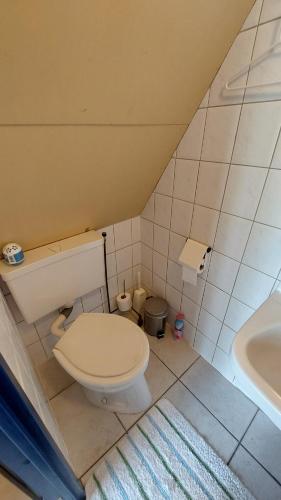 a small bathroom with a toilet and a sink at Holiday Home Achterbos in Sint-Oedenrode