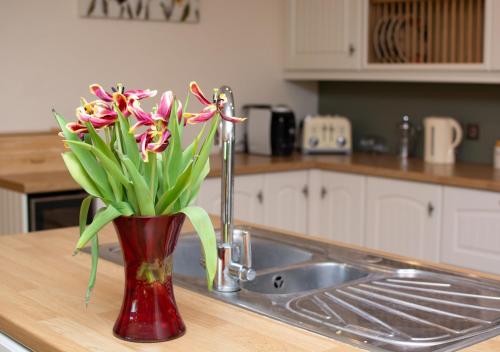 un jarrón rojo con flores sentado en un mostrador de cocina en Foden Lodge, en Thursford