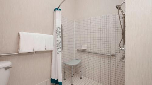 a bathroom with a shower with a stool in it at Residence Inn by Marriott San Antonio North Stone Oak in San Antonio