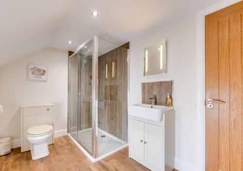 a bathroom with a shower and a toilet and a sink at Lillie Cottage in Brisley