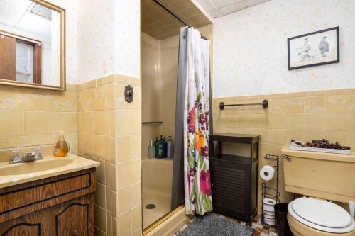 ein Bad mit einem WC, einem Waschbecken und einer Dusche in der Unterkunft Breathtaking views. Hot tub. Huge Deck. Fast Wifi in Andes