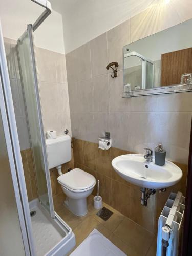 a bathroom with a toilet and a sink and a shower at Rooms Danica in Poreč