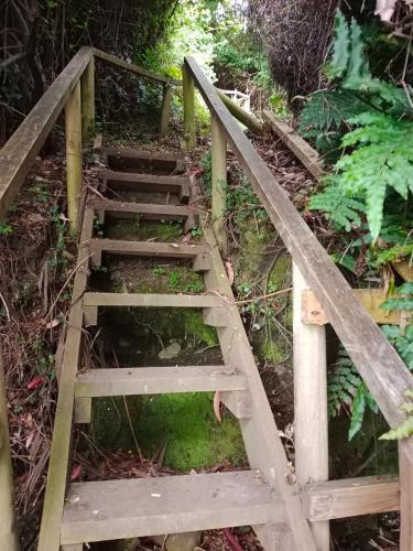 a set of wooden stairs in a garden at Cabañas Reflejo de Luna in Castro