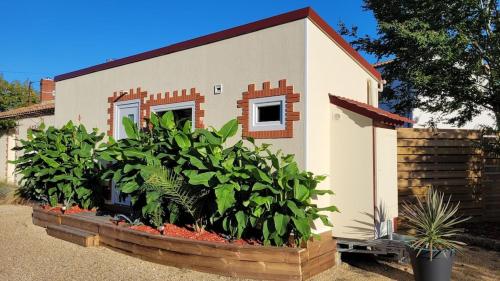una pequeña casa con plantas delante en Copacabana TINY HOUSE studio terrasse jardin, en Saint-Aignan-Grand-Lieu