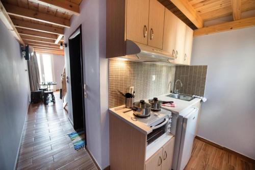 a kitchen with a sink and a stove top oven at Argo Apartments in Vasiliki
