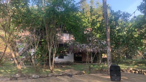 a house in the middle of a forest with trees at Private Beach with a Jungle Loft in Palomino