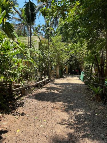 a dirt road with trees on the side at Shobha Niwas in Nandgaon