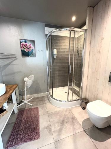 a bathroom with a shower and a toilet at Peperino in Gdańsk