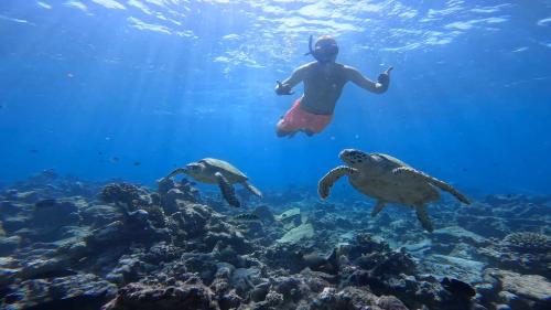 una persona che nuota su una barriera corallina con due tartarughe di Konut by Thakuru a Guraidhoo
