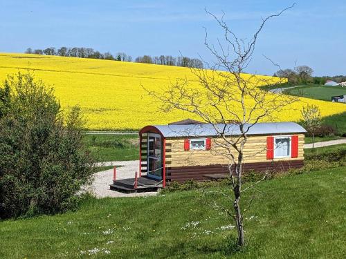 una pequeña cabaña en un campo de flores amarillas en Nuits Insolites d Argonne en Varimont