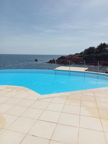Studio calme vue mer pieds dans l'eau