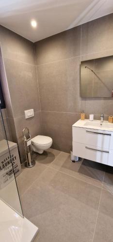 une salle de bain avec toilettes, lavabo et miroir dans l'établissement Casa di Leccia, Superbe Villa à proximité immédiate des plages, piscine privée, à Lecci