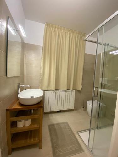 a bathroom with a sink and a shower at Vera Park & Wellness in Belluno