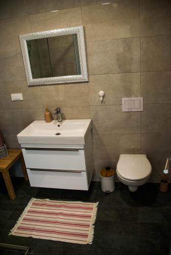 Vannituba majutusasutuses Apartments Lisinski - Private parking