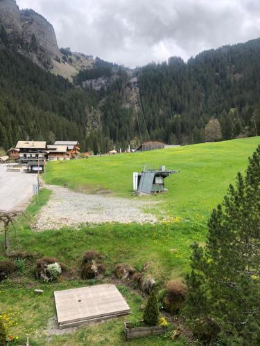 a green field with a building in the middle at Hôtel la Kinkerne in Morzine