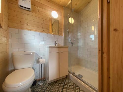 a bathroom with a toilet and a shower at Cabin 438 - Clifden in Clifden