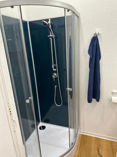 y baño con ducha y puerta de cristal. en Übernachtungsmöglichkeit und Monteurzimmer, en Hamdorf