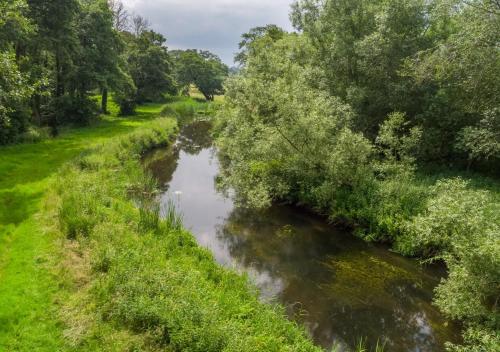 an aerial view of a river with trees and grass at The Dairy 