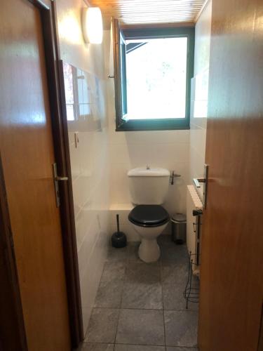a bathroom with a toilet and a window at Hôtel la Kinkerne in Morzine