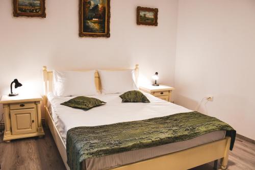 a bedroom with a bed with two pillows on it at Casa Novis in Băicoi