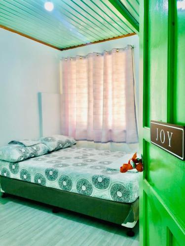 a bed in a green room with a toy at Ianka & Enio Dream Suites in Digos