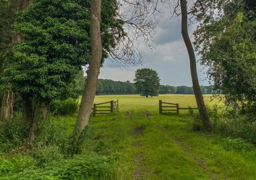 ein Feld mit einem Zaun und einem Feld mit Bäumen in der Unterkunft The Stable 