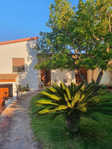 Gallery image of Villa Rita Apartament & Rooms in Fontane Bianche