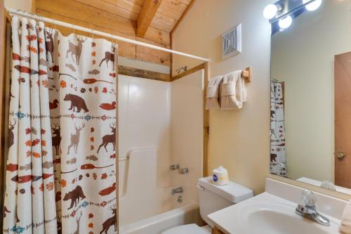 a bathroom with a shower and a toilet and a sink at Gatlinburg Cabin with Hot Tub about 6 Mi to Downtown! in Gatlinburg