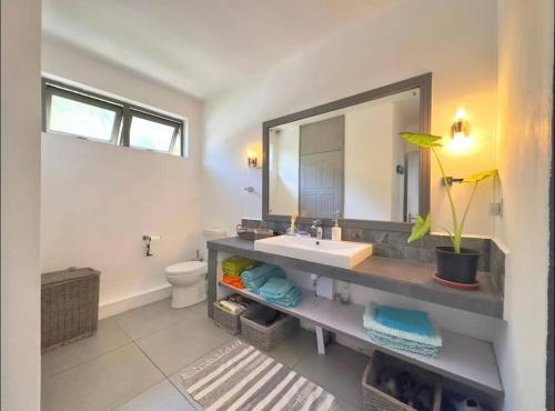 een badkamer met een wastafel, een spiegel en een toilet bij Seaview Sunset Apartment in Tamarin