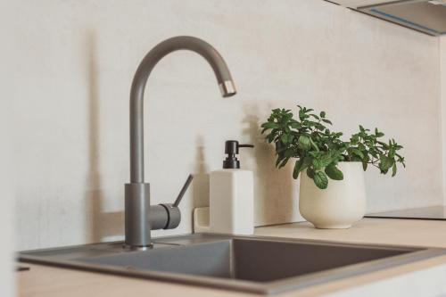 a kitchen sink with a faucet and a plant at SOL luxury residence near the beach with shared heated pool in Božava