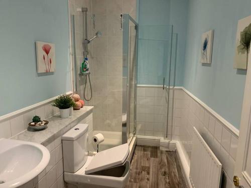 a bathroom with a shower and a toilet and a sink at Keysan House in London