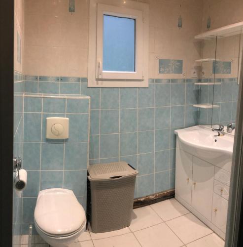 une salle de bain avec toilettes et lavabo dans l'établissement Au Cœur des montagnes, à La Chalp